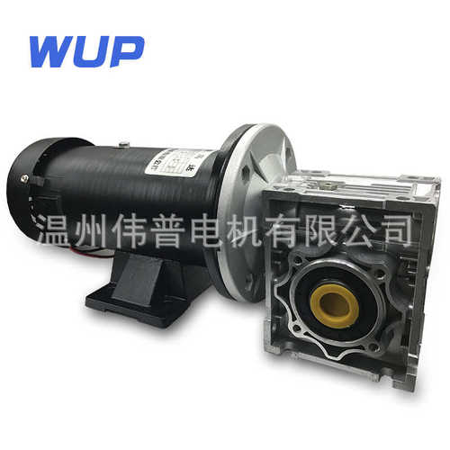 DC220V调速电机马达减速电机 750W卧式直流电机 永磁直流电机