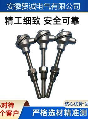 安徽贸诚 防爆热电阻WZPK2-235 远传PT100热电偶K型 现货销售