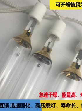 直销UV固化灯管 3KW270MM380V紫外线UV高汞灯 高压光固化水银灯管