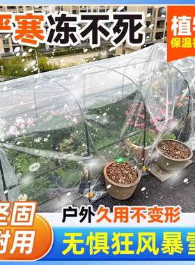 冬天室外花房保温棚庭院户外绿植物花卉温室蔬菜暖棚暖房花棚家用
