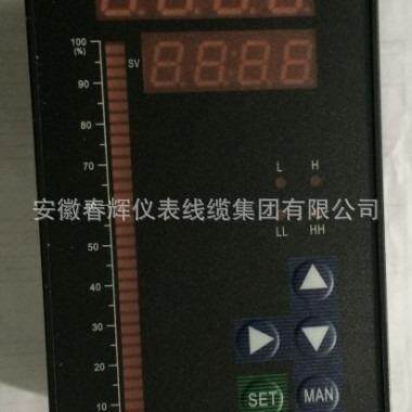 光柱显示报警仪CHT-808XMTA-8000