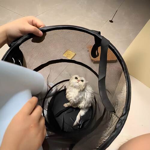 邪修版宠物烘干箱大号圆筒网纱桶猫狗通用快速吹干防止猫毛发乱飞