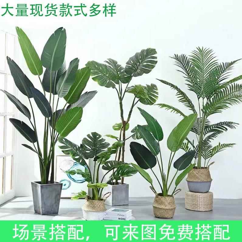 北欧仿真植物旅人蕉盆栽客厅室内家居装饰散尾葵假树仿真绿植造景