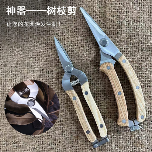 修树枝摘水果神器树枝剪 品质热销修剪树枝用园林园艺剪刀
