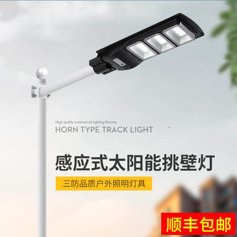 挑壁灯户外led挑壁灯防水防雷庭院景观100W200W一体化感应
