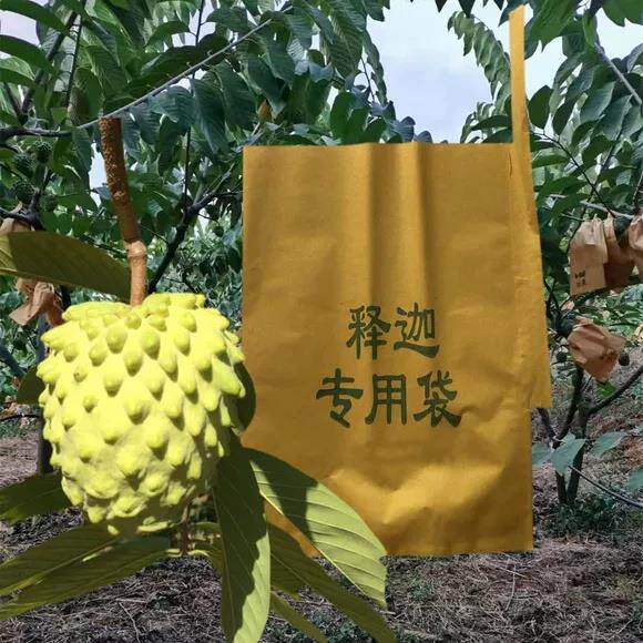 释迦果专用防果蝇针蜂保护套袋番荔枝石榴凤梨释迦防虫加厚纸果袋