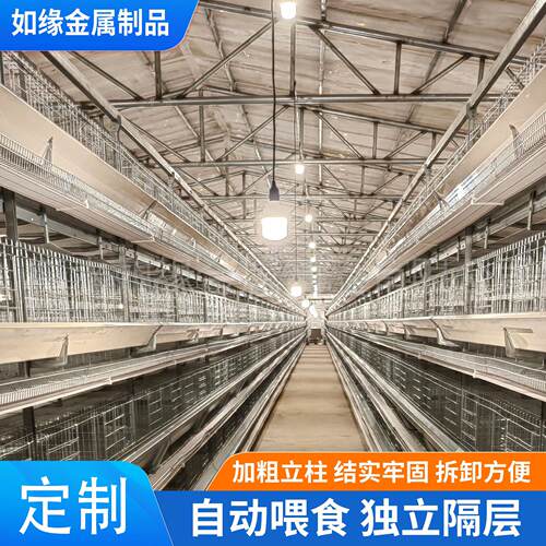 层叠式蛋鸡笼全自动养鸡设备镀锌四层自动化蛋鸡笼
