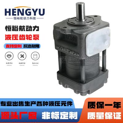 液压泵折弯机齿轮泵NBZ2-G16FNB3-C63NB4-G50FNB5-G160F压力油泵