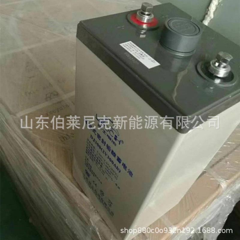 LEOCH/理士铅酸蓄电池DJ1000 2V1000AH 48V发电机组2V500AH太阳能