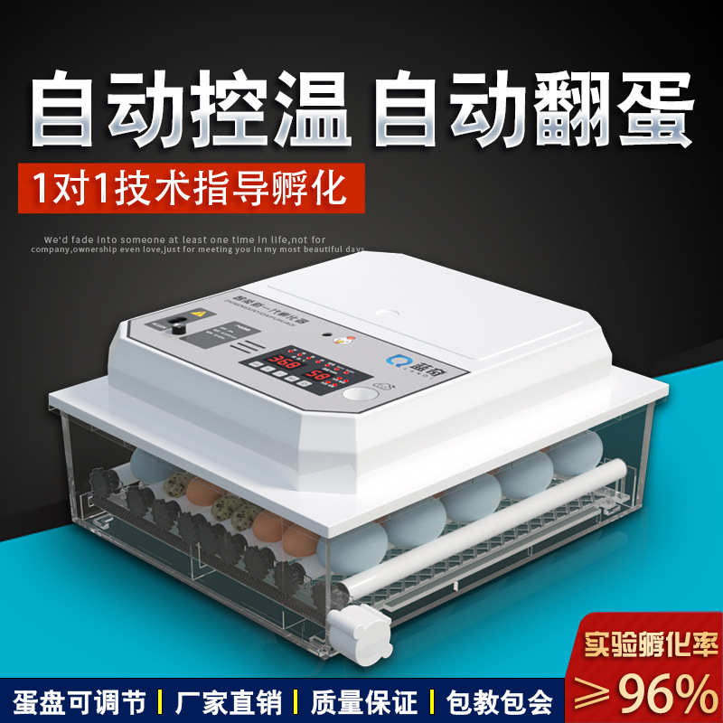 110V孵化机小型家用孵化器全自动智能鸡鸭鹅鸽孵蛋机鹦鹉孵蛋器