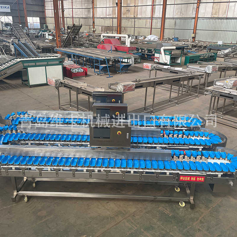 牡蛎螃蟹料盒式重量分选机 海参黄花鱼海产品分级机称重分拣机,清洗/食品/商业设备,选果机/分选机,淘宝优惠券,粉丝福利购,淘宝优惠卷