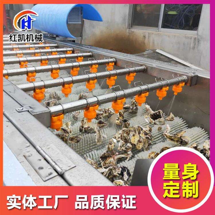 威海牡蛎海蛎子清洗机 生蚝除泥毛辊清洗机 牡蛎分拣称重分级机