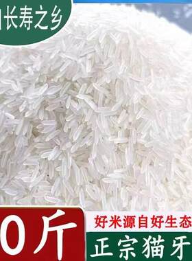 新疆包邮50斤丝苗米南方晚稻装新米当季农家10斤粘米丝苗长粒猫牙