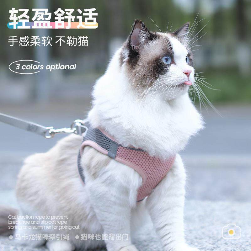 猫咪网面可调节牵引绳溜猫绳猫绳子猫牵引防挣脱外出专用猫绳背带