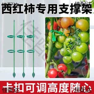 番茄园艺爬花架放支撑杆藤支架支撑杆支撑植物倒倒伏架固定防花架