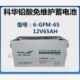 12V65AH直流屏UPS GFM 科华精卫铅酸免维护蓄电池6