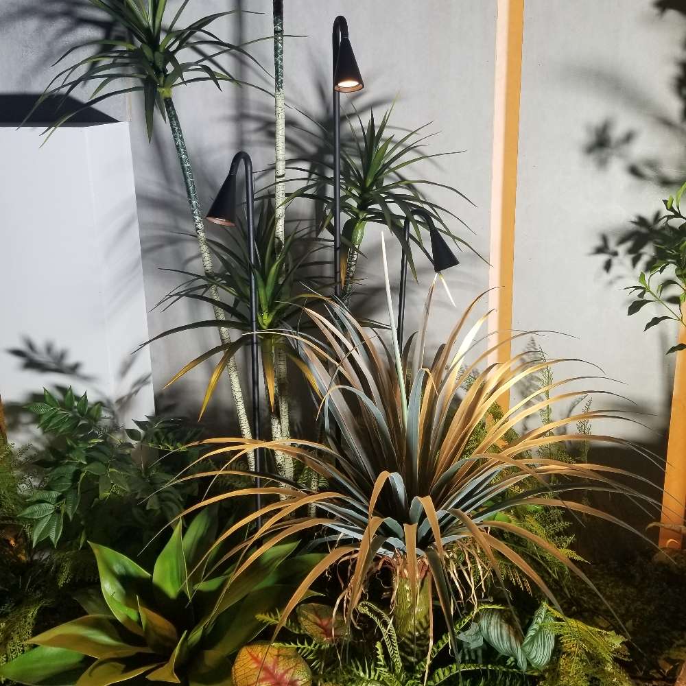 低压DC24V草坪灯户外防水庭院灯室外别墅花园草地灯景观灯草坪灯