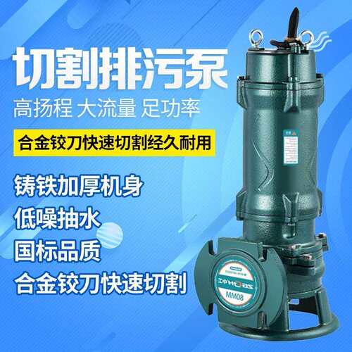 中国中工牌超国标污水泵抽粪泥浆排污泵220V家用抽水泵小型潜水泵