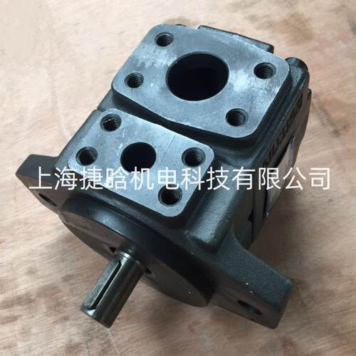 YB-E125/25,YB-E125/32 HONGTAI HONGYI叶片泵 塑料机械液压泵