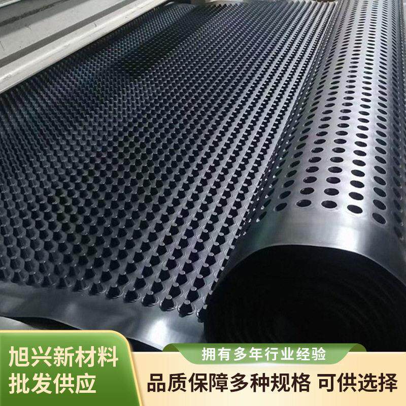 复合塑料排水板车库地库隧道屋顶绿化用防渗凹凸立体排水板厂家