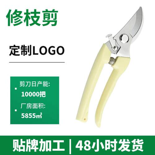 跨境热销省力园林园艺剪刀 果枝花枝树枝剪刀 花艺不锈钢修枝剪刀