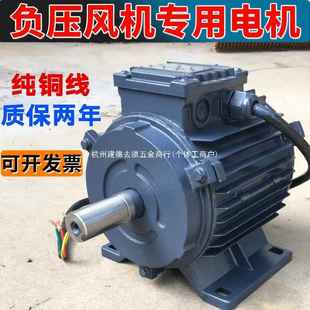 负压XYI风机专用电机工业养殖厂场换扇380V电排动风扇电马机达配