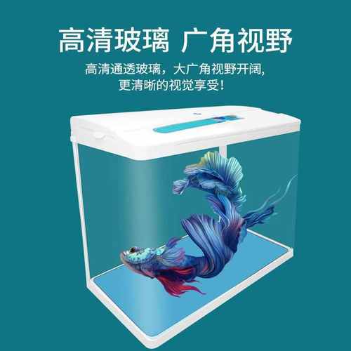 60/80长玻璃鱼缸带底柜桌面家用客厅水族箱生态热带鱼懒人金鱼缸