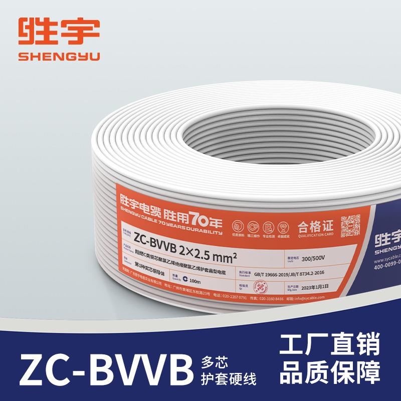 阻燃BVVB 2*1护套扁平平行线 2芯1.5 2.5 4 6平方 聚氯乙烯绝缘