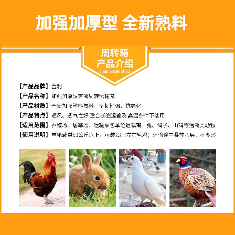 鸡笼运输笼塑料周转箱 装鸡筐鸡框子鹧鸪养殖笼 大型鸭鹅兔鸽子笼