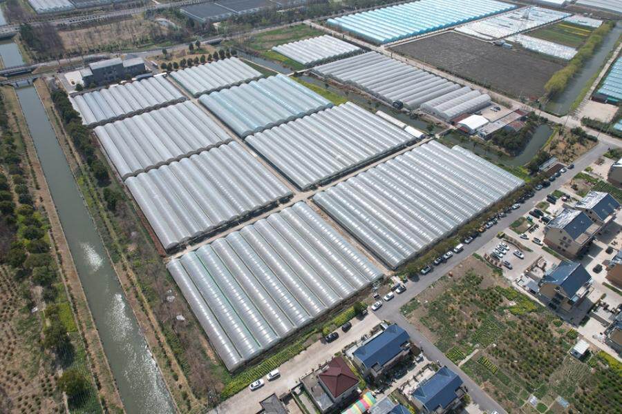 1月1日盐城农业公司葡萄园的约65.8亩大棚、果树及相应果实、附属设施、地上附着物和办公用品等资产网络拍卖公告