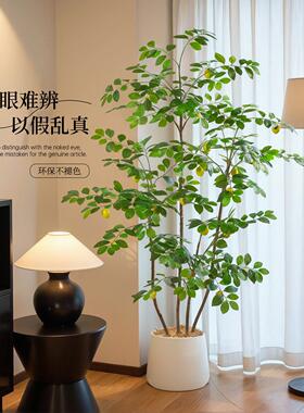 彷真柠檬树高端轻奢彷生绿植家居室内客厅大型落地盆栽装饰摆饰