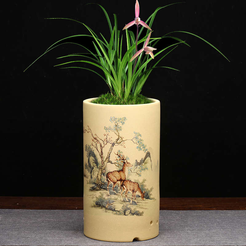 紫砂兰花盆精品贴画圆形文竹悬崖吊兰客厅桌面绿植古典盆景盆包