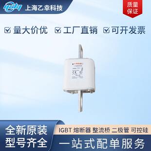 巴斯曼熔断器 170M6723 170M6731 170M6732 170M6734 170M6738