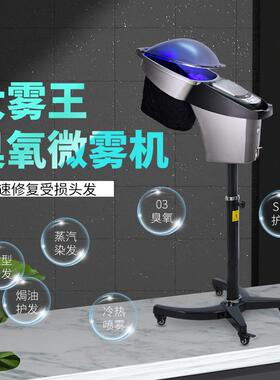 理发店头发护理机专用O3臭氧焗油机 美发蒸汽机立式微雾焗油仪