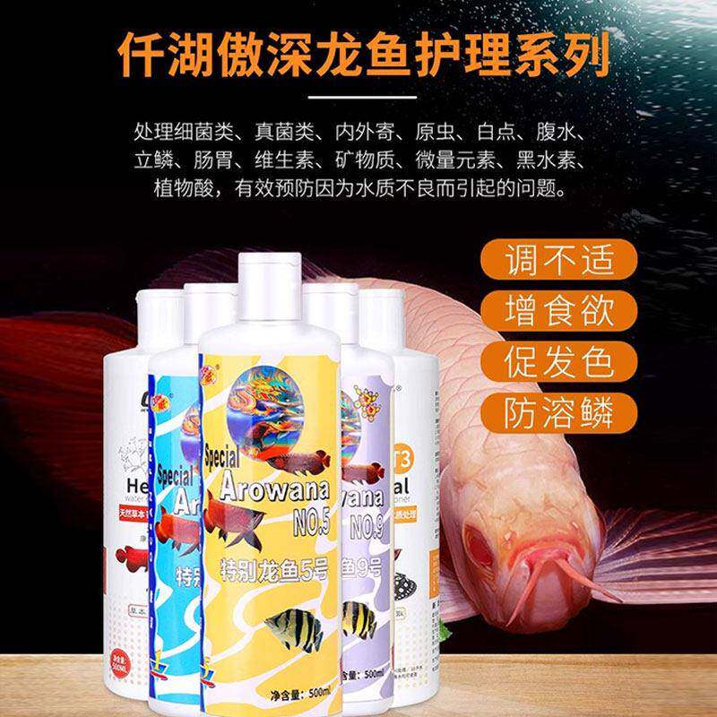 湖号34号龙鱼蒙眼号立鳞水霉内外寄生虫5硝化细菌仟鱼龙鱼护理缸