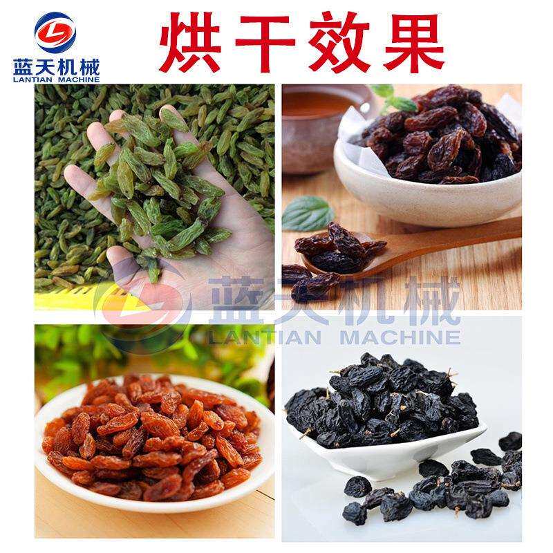 小型全自动葡萄烘干机 智能控温蒲陶菩提子烘干箱 葡萄干烘干设备