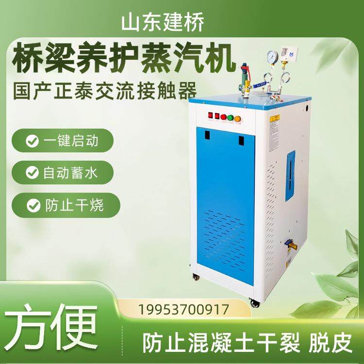 全自动电加热蒸汽发生器 冬季路桥蒸养养生设备 箱梁T梁养护装置