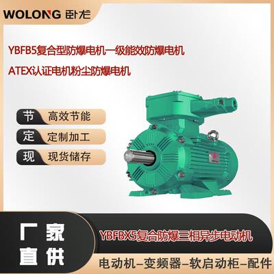 YBFB5复合型防爆电机一级能效防爆电机ATEX认证电机粉尘防爆电机