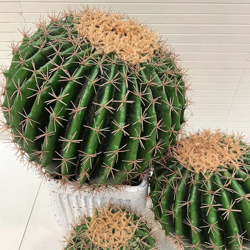 仿真仙人球 仙人掌 多肉热带植物绿植盆栽装饰拍摄道具假花摆件