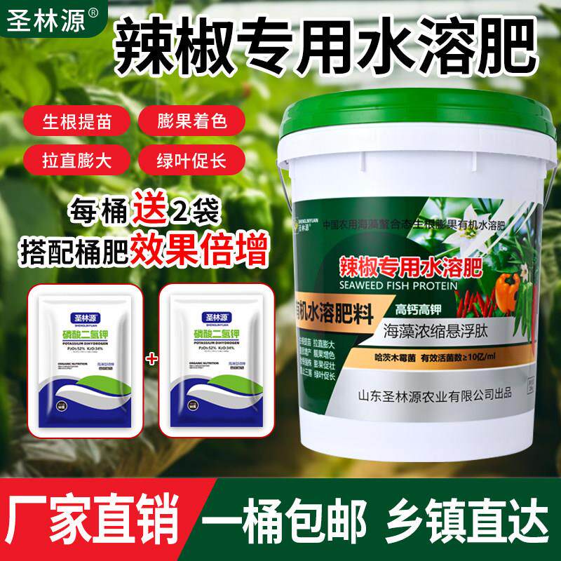 辣椒专用肥料有机肥水溶肥冲施肥桶装生根壮苗剂拉直增长膨大增产