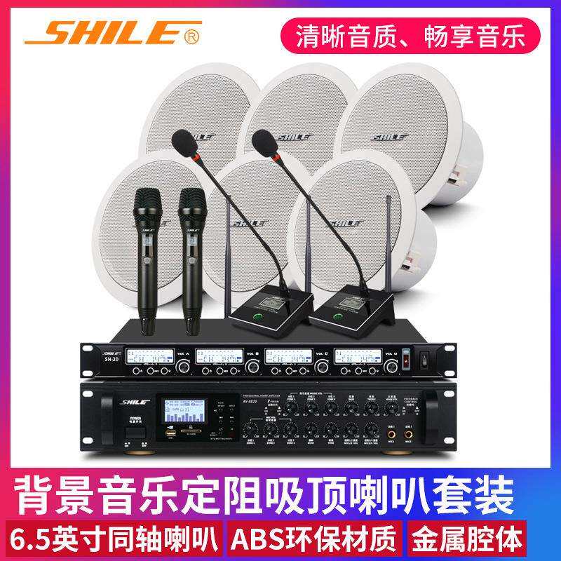 定阻吸顶天花喇叭BX206会议室音响套装公共广播背景音乐系统