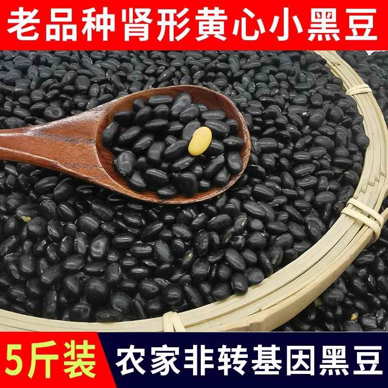 老品种山西肾型黄心小黑豆当季生豆芽打豆浆专用黄芯腰型药用黑豆