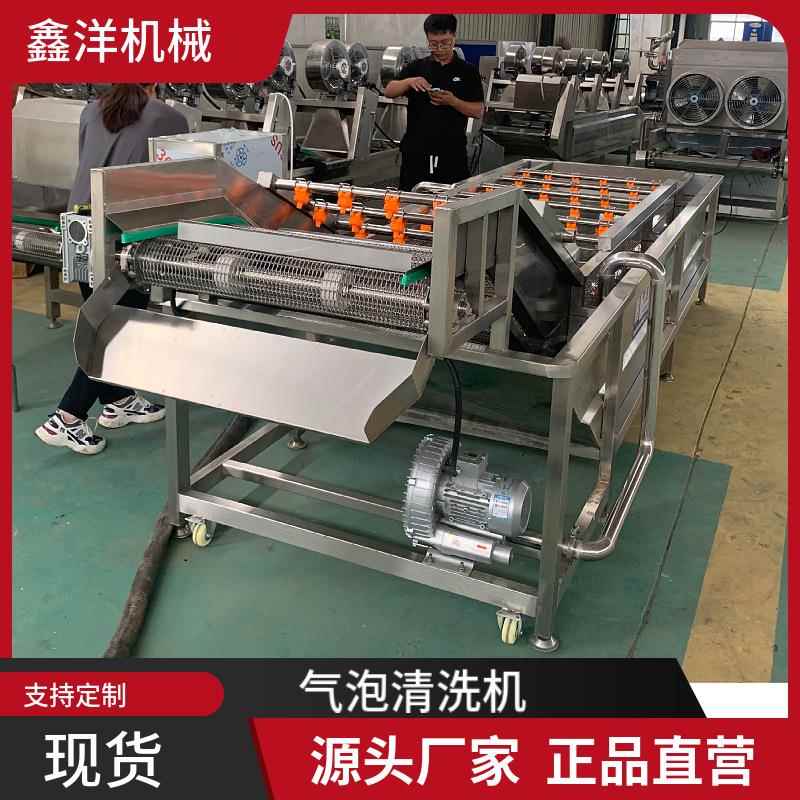 秋月梨柑橘清洗机气泡果蔬清洗设备橙子苹果全自动清洗线现货