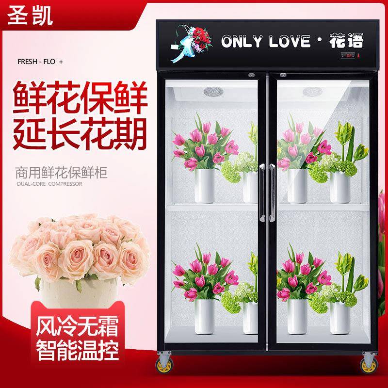 展示柜冷藏保鲜立式冰柜商用双门超市水果啤酒风冷冰箱饮料柜