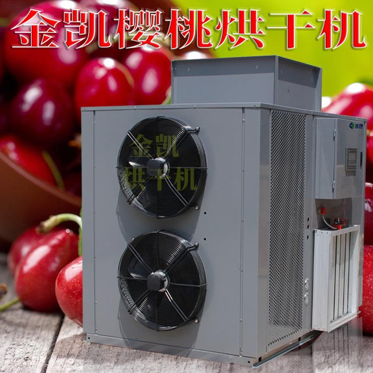 金凯高温热泵樱桃 烘干一体机烘箱变频