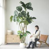 彷真绿色植物大型巨型龟背树盆景植物高端装 饰龟背芋落地摆件橱窗