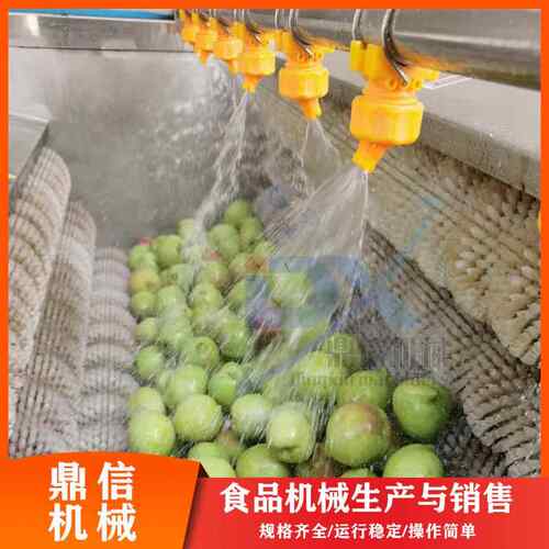 鼎 滚萝卜备去信杂清洗机 芋头胡萝卜JTZ去皮清洗设 筒毛刷清洗机