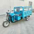 105拉厂家载供应1.6米货载人电动三轮两用1000瓦车电机超市货载客