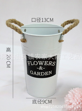 鲜花鲜花养花干花花盆装饰摆件