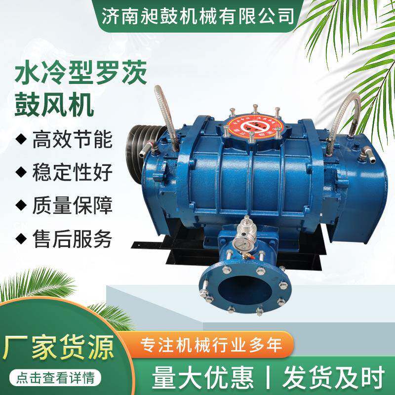 水冷罗茨鼓风机污水处理大风量曝气设备风机降噪消音器